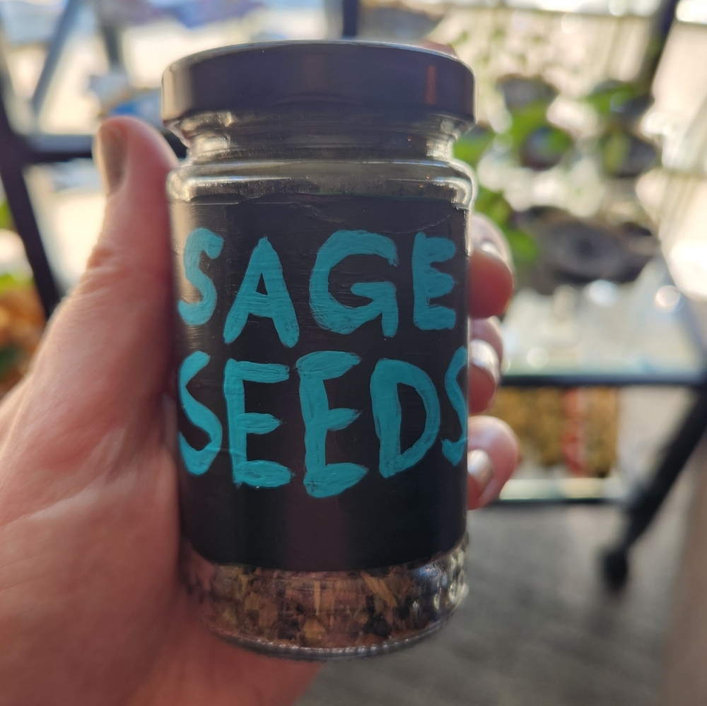 Sage Seeds